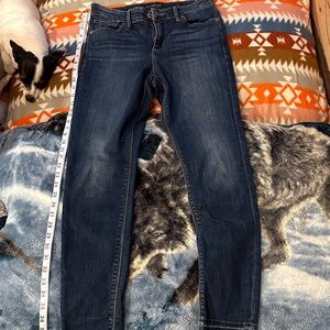 Lucky Brand Dark Blue Skinny Jeans - Faded Indigo Wash